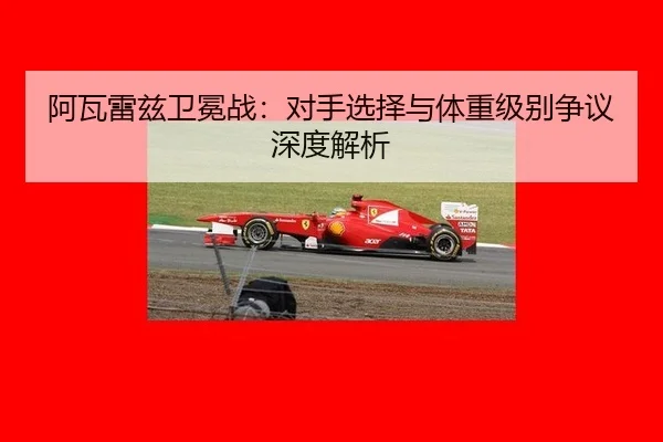 a-wa-lei-zi-wei-mian-zhan-dui-shou-xuan-ze-yu-ti-zhong-ji-bie-zheng-yi-shen-du-jie-xi-2-512.jpg