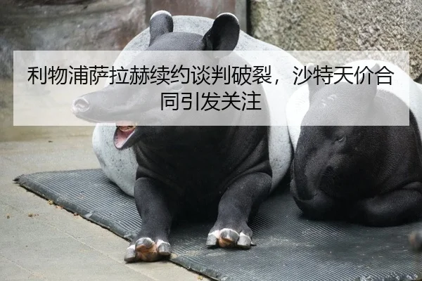 利物浦萨拉赫续约谈判破裂，沙特天价合同引发关注
